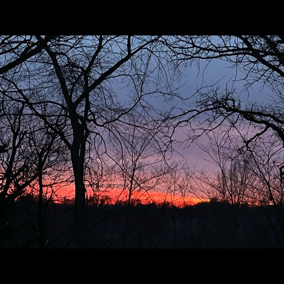 Meet your Posher, Trisha - Picture 5 of 15